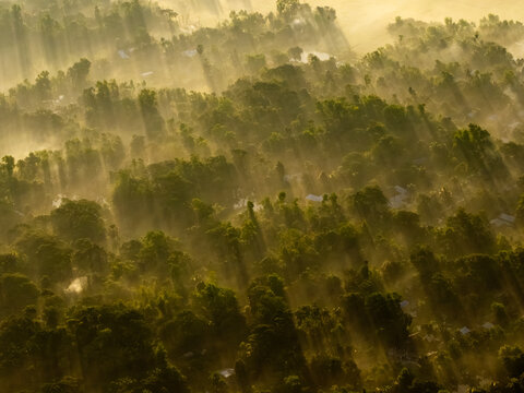 Aerial view of sunlight piercing through a dense canopy of trees, casting long shadows across the landscape, Chandina, Chittagong Division, Bangladesh.