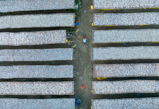 Aerial view of rows of fish drying under the sun on raised platforms, creating a textured landscape of silver and grey, Cox's Bazar, Chittagong Division, Bangladesh.
