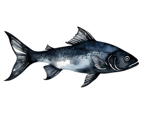 Obraz premium A watercolor painting of a single fish swimming in a clear blue water on a white background, great for use in educational materials or as a decorative element