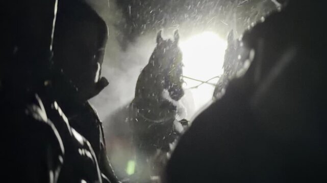 Backlit horses pulling carriage in storm