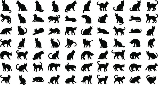 Silhouette illustration of sixty-four cats in grid layout showing diverse poses and movements, vector artwork symbolizing feline behavior, body language, and artistic design concepts