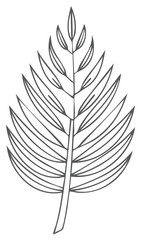 Obraz premium Minimalist Line Art Palm Frond Simple Botanical Sketch