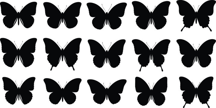 Silhouette illustration of fifteen butterflies in grid layout with varied wing shapes and antennae, vector artwork symbolizing diversity, nature, symmetry, and pattern recognition concepts
