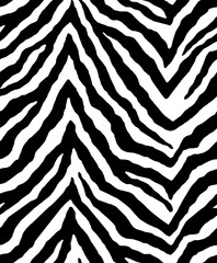 zebra animal skin texture textile, black and white Africa nature seamless pattern  © anwar