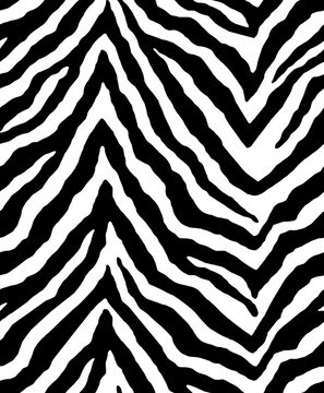 zebra animal skin texture textile, black and white Africa nature seamless pattern 