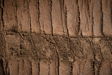 Naklejka premium Close-up of rough brown tree bark texture with natural cracks and lines, ideal for rustic background, nature pattern, and organic surface concepts.