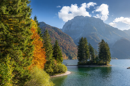 View of pristine lake waters reflect the towering mountains under a blue sky, framed by vibrant autumn foliage and evergreen trees, Sauris, Friuli-Venezia Giulia, Italy.
