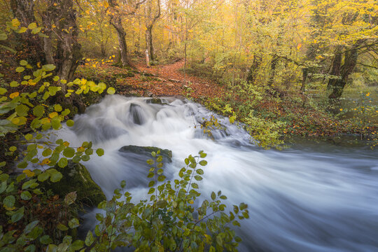 View of rushing water cascading over rocks framed by autumn foliage in a vibrant landscape of nature's beauty, Cerknica, Cerknica, Slovenia.