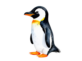 Fototapeta premium A solitary penguin stands on a clean white background