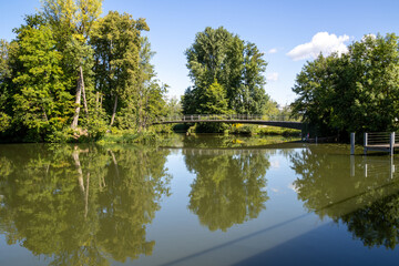 Obraz premium Boat tour on the river near Erba Island (Erbainsel) in Bamberg, Bavaria, Germany, scenic waterway surrounded by nature, green riverside landscape and relaxing European travel destination.