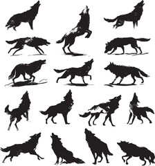 Obraz premium Set of black wolf silhouettes running howling and walking in various poses on white background vector illustration 