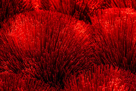 Aerial view of a vibrant landscape of densely packed, crimson vertical structures creates a textured, abstract spectacle, Ung Hoa, Ha Noi, Vietnam.