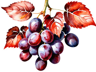 Naklejka premium A cluster of juicy grapes surrounded by lush green leaves
