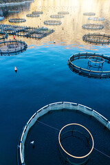 Aerial view of a fish farm with floating cages arranged on the water surface. Modern aquaculture and sustainable seafood production