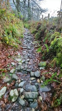 Subjective view of a person walking along an old cobbled path on the on the Bimenes Mills Route, PR-AS 141, the municipality of Bimenes, Asturias, Spain