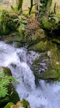 Fermina Mill and waterfall on the Bimenes Mills Route, PR-AS 141, the municipality of Bimenes, Asturias, Spain