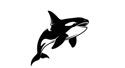 Orca whale illustration on white background © Layla