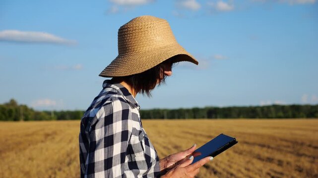 Female farmer uses digital tablet while going through wheat meadow. Adult agronomist in straw hat monitors harvest during walks among barley plantation. Concept of agriculture and agronomy business