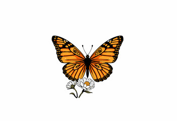 Obraz premium Vivid Monarch Butterfly Illustration Displaying its Orange and Black Wing Patterns while Resting Gracefully on a Delicate White Daisy Flower on a Clear Background