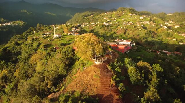 Drone orbit at sunrise over a majestic plane tree at Miradouro Lombo do Pico in Sao Jorge, aerial view of terraces, mountains and a car with roof top tent at dawn in Madeira island north coast.