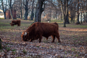 Abandoned Historic Palace in Eastern Europe