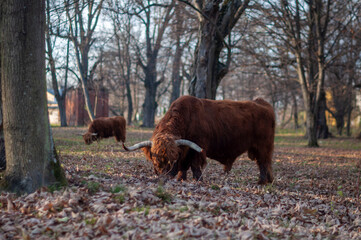 Abandoned Historic Palace in Eastern Europe