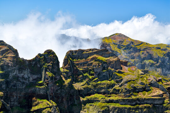 Beautiful green nature around Vereda do Areeiro hiking trail in Madeira