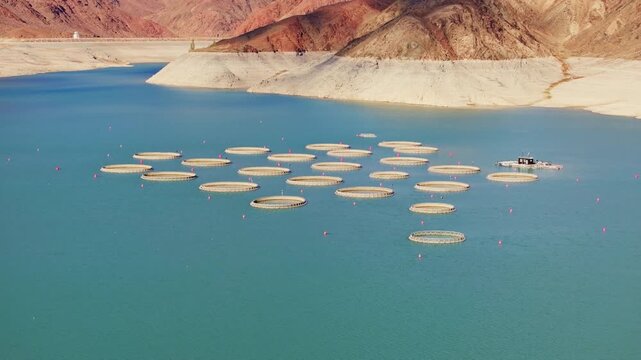 Aerial view captures circular aquaculture pens surrounded by desert mountains and a serene Orto Tokoy Reservoir in Kyrgyzstan.