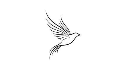 Fototapeta premium Minimalist black and white bird in flight isolated on a transparent background