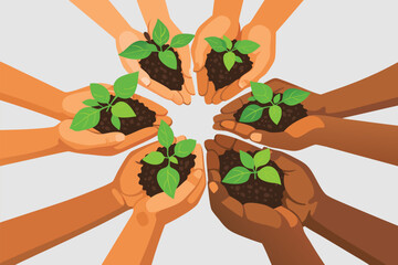 Diverse group of hands holding and protecting young green plant seedlings.