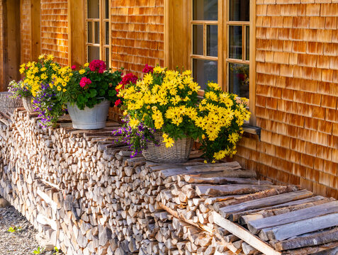 Colorful Flowers on Rustic Woodpile Display