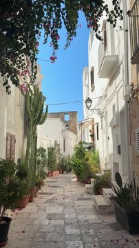 Quiet white street in the old town of Polignano a Mare, Italy