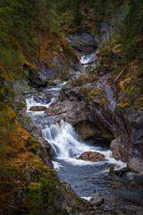 Forest Waterfall in Rocky Gorge with Moss and Spring Foliage