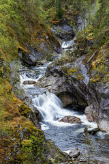 Forest Waterfall in Rocky Gorge with Moss and Spring Foliage