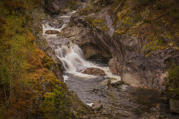 Forest Waterfall in Rocky Gorge with Moss and Spring Foliage