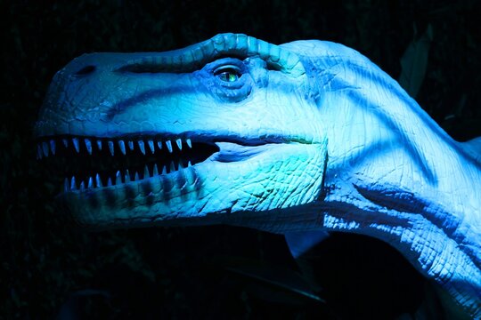 MONTREAL QUEBEC CANADA 09 19 2025: Eucnemesaurus meaning "good tibia lizard", for its robust tibiae) is a basal sauropodomorph dinosaur genus usually considered to be a synonym of Euskelosaurus