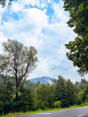 Obraz premium Romanian mountain road landscape. Quiet mountain road runs through green Romanian forest with peaks in distance.