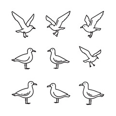 Seagull Line Art Collection: Various Poses for Coastal and Nautical Themes