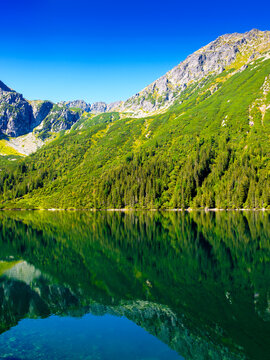 alpine lake in summer with green mountain reflection. beautiful landscape of poland with clear water. stunning view with blue sky over the peaks of tatra range. popular travel destination of europe