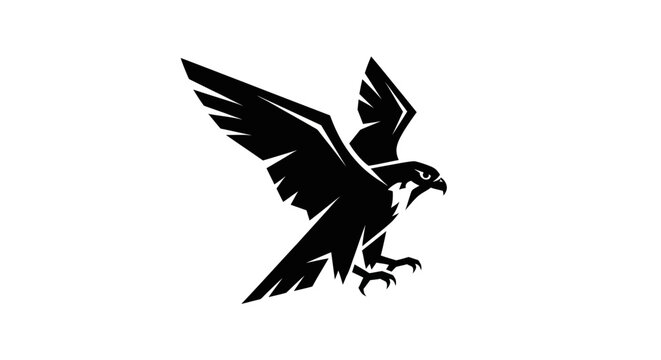 Soaring falcon silhouette on white background