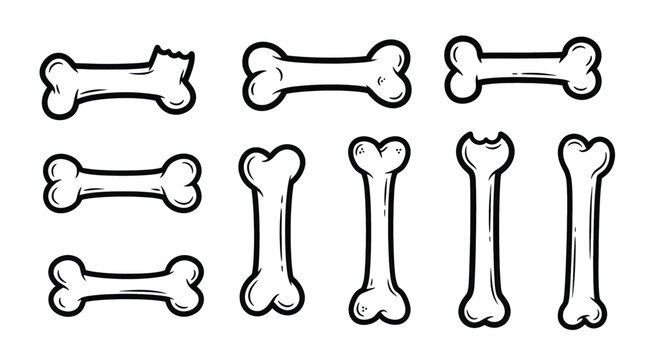 Collection of Dog Bones Illustration Set.