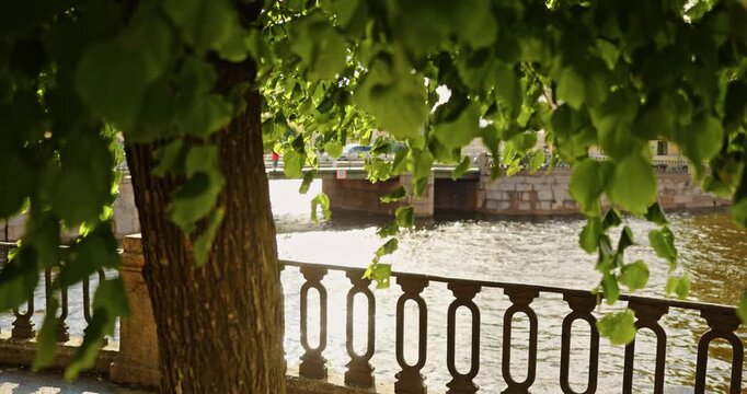 a promenade with wrought iron railings through green leaves swaying in the wind near St.Nicholas cathedral in summer day, the embankment of the Kryukov Canal and the Griboyedov Canal