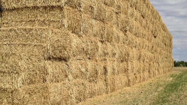 Side view of a large stack of rectangular straw bales in a field. Massive agricultural hay storage under a cloudy sky after harvest.