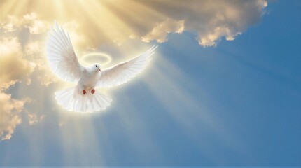 Fototapeta premium Holy spirit white dove flying in a bright sky with sun rays. Religious concept of new life, peace, and hope for Easter
