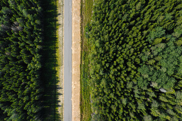 Aerial top view from drone on asphalt road at pine forest