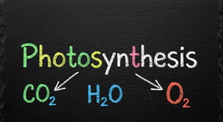 Obraz premium Colorful photosynthesis diagram on blackboard highlighting co2 and h2o conversion to oxygen in educational science concept