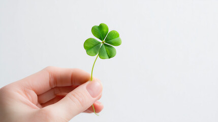 Hand holding fresh four-leaf clover against white background, symbol of luck and hope