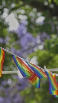 LGBT flags on a string in a summer park