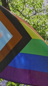 LGBTQIA Progress Pride Flag in the park
