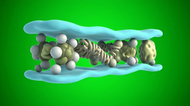 Detailed 3D CGI Medical Animation of Cell Membrane Structure on Green Screen for Scientific Education and